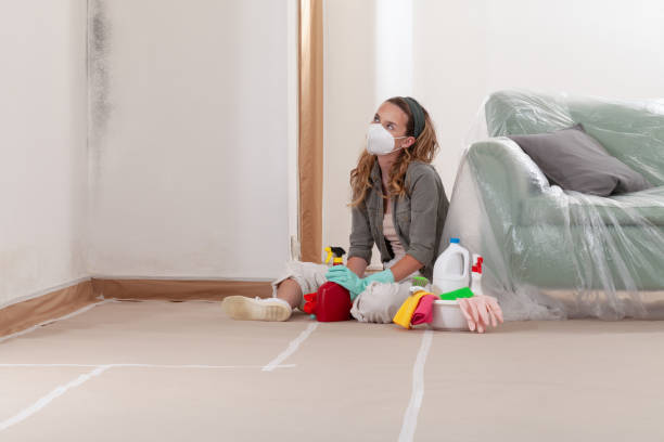 Trusted Mold Removal service in Exmore, VA - WQB Mold Removal